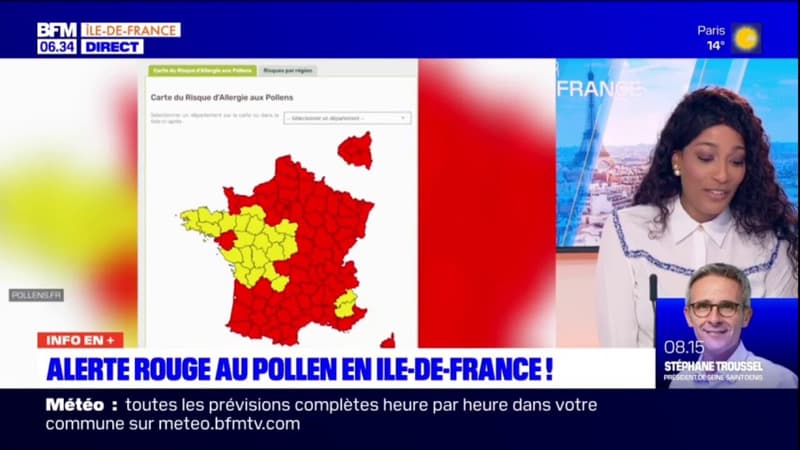 Île-de-France: l'arrivée précoce du printemps place la région en alerte rouge au pollen