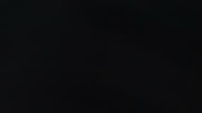 Deux soeurs de 22 et 24 ans condamnées à un et deux ans de prison pour avoir tondu et enlevé une jeune femme.