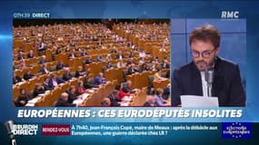 Humoriste, indépendantiste catalan, médecin... ces nouveaux eurodéputés insolites