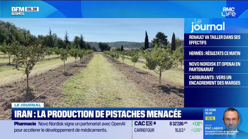 Iran : la production de pistaches menacée