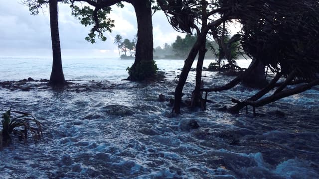 Une haute marée pénètre à l'intérieur des terres aux îles Marshall, le 3 mars 2014. L'archipel pourrait disparaître à cause de la montée des eaux.