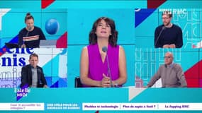 Une stèle pour les animaux morts pendant la guerre : on en fait trop ? - 11/11