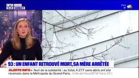 Seine-Saint-Denis: un enfant retrouvé mort, sa mère arrêtée