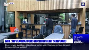 Réouverture des restaurants: course contre la montre pour trouver des serveurs à Lille