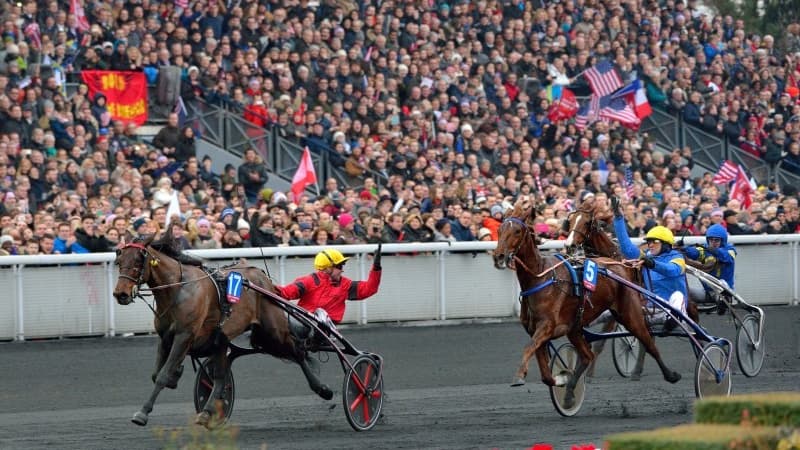 Annulation des courses hippiques ce jeudi 7 novembre