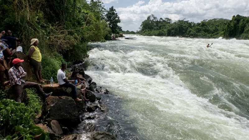 Les courants rapides du Nil, en Ouganda, le 25 janvier dernier. (Photo d'illustration) 