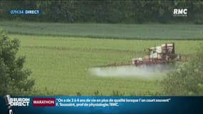 Loi Pacte: le rétropédalage des parlementaires sur l'interdiction aux industriels de produire des pesticides interdits à la vente en Europe