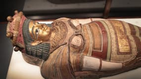 Un couvercle de cercueil provenant d'Égypte est exposé au Field Museum le 13 mars 2018 à Chicago.
