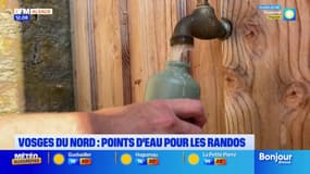 Vosges du Nord: points d'eau pour les randonnées