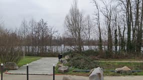 L'étang du Bohrie