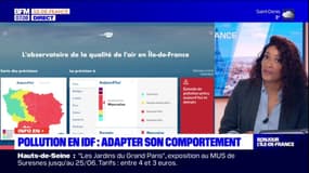 Île-de-France: nouvel épisode de pollution aux particules fines