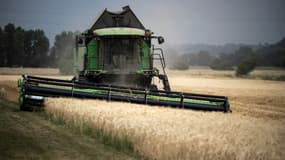 Un agriculteur conduisant une moissonneuse-batteuse dans un champ de blé à Sainte-Foy-d'Aigrefeuille, près de Toulouse (Haute-Garonne), le 21 juin 2022.