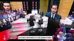Un "octogone" entre Benalla et une légende de MMA? Le débat délirant des "Grandes Gueules" 