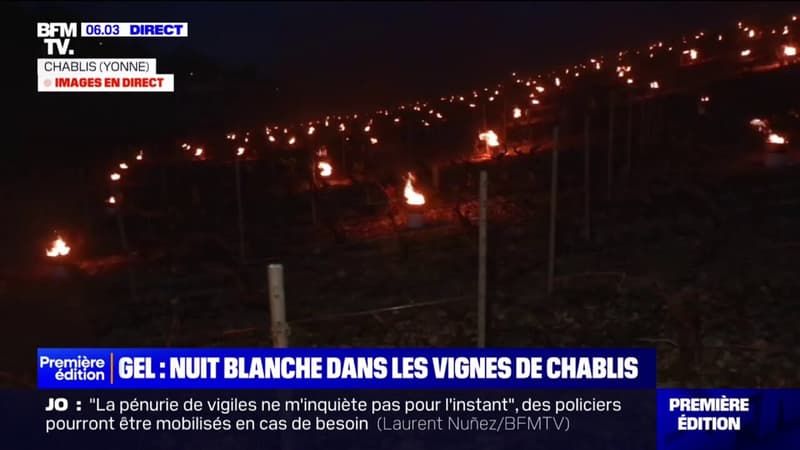 Des bougies allumées dans les vignes de Chablis pour lutter contre le gel