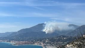 Un feu de forêt s'est déclaré à Gorbio.