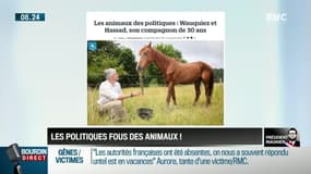 Président Magnien ! : Les politiques fous des animaux ! – 20/08