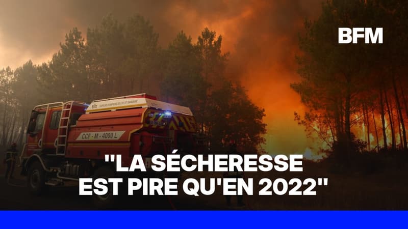 Incendie en Gironde: "3.700 hectares ont brûlé" et 800 sapeurs-pompiers sont mobilisés