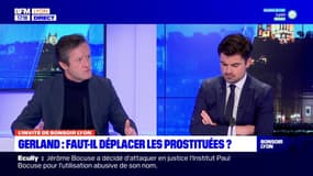 Prostituées à Gerland: le député Thomas Rudigoz s'insurge contre la proposition de la mairie de construire un mur végétal à côté des terrains de jeu 