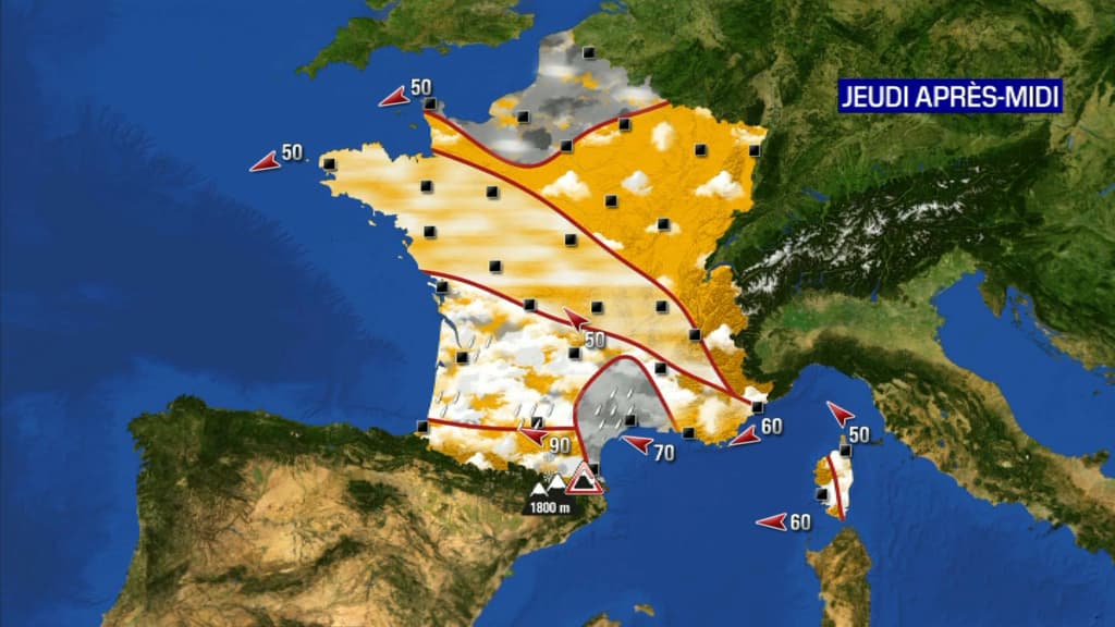 Carte.
