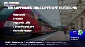 Tempête Ciaran: vers une pagaille sur le rail en Ile-de-France?
