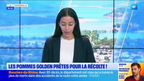 JT du Sud du mercredi 2 octobre