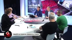 La GG du jour: Enquête au cœur de l'empire de la tomate - 07/06