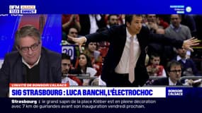 SIG Strasbourg: le président loue les qualités de son nouvel entraîneur Luca Banchi 