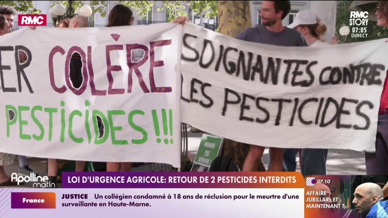 Loi d'urgence agricole : Retour de 2 pesticides interdits