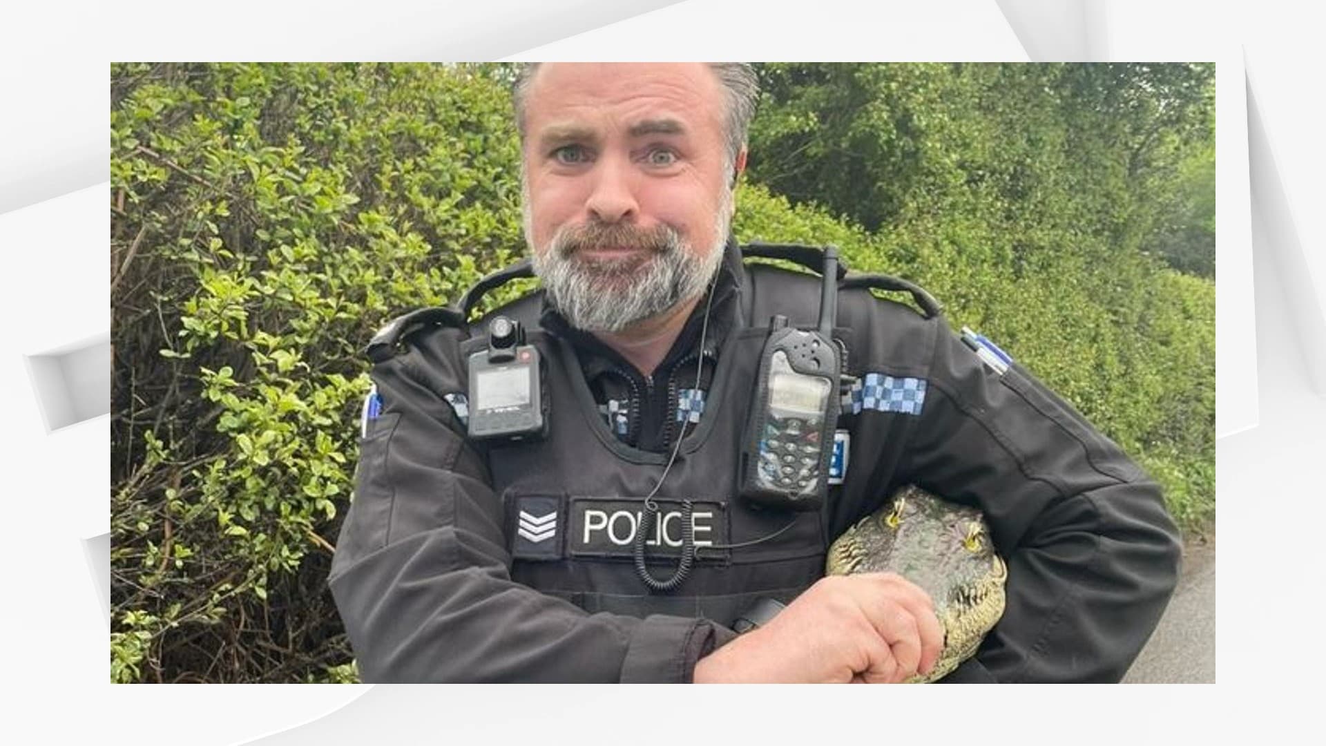 Le policier britannique en train de plaisanter avec la tête de crocodile factice. Le policier britannique en train de plaisanter avec la tête de crocodile factice.