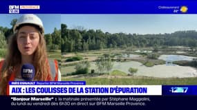 Aix-en-Provence: une zone de rejet végétalisée pour les eaux usées de la station d'épuration