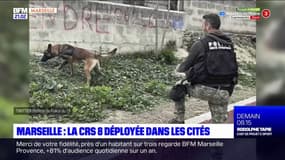 Marseille: déployée par Darmanin, la CRS 8 déjà sur place