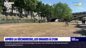 Rhône: les pluies orageuses ne suffiront pas pour remédier à la sécheresse
