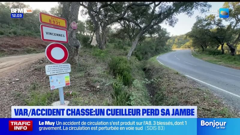  Accident de chasse à Bormes-les-Mimosas: faut-il interdire la chasse passé un certain âge?