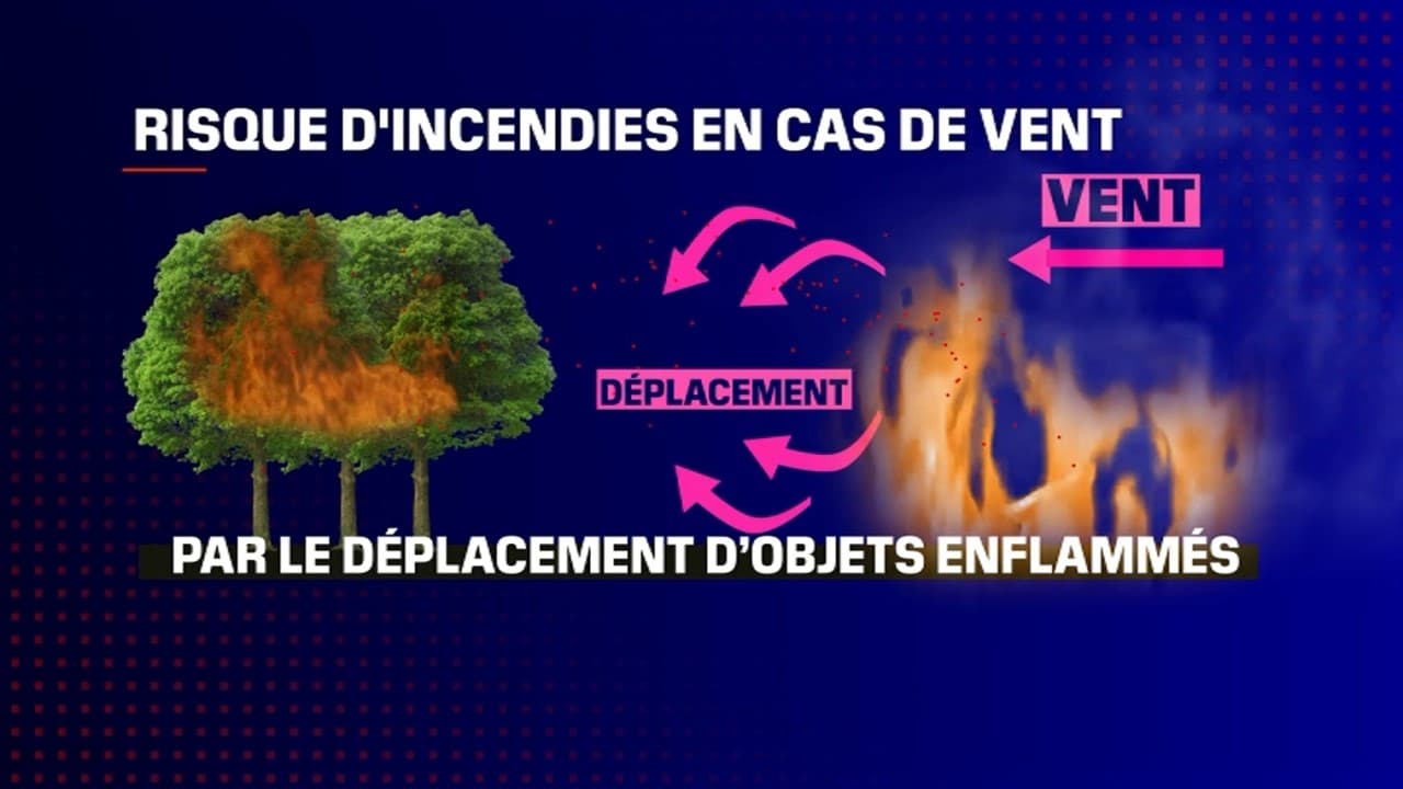 Infographie détaillant l'effet du vent sur les incendies.