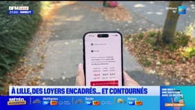 BFM et vous: comment fonctionne l'encadrement des loyers à Lille?