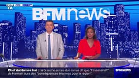 Le n°1 du Hamas éliminé dans une frappe - 31/07
