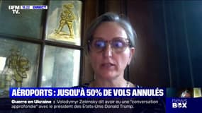 Grève des contrôleurs aériens: "On a des naufragés du ciel qu'on retrouve perdus dans nos hôtels", déplore Véronique Siegel, présidente de l'UMIH 