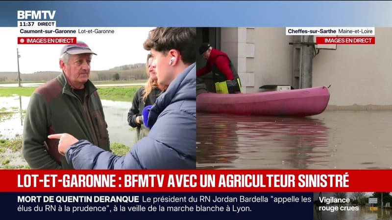"C'était dur à voir": un agriculteur du Lot-et-Garonne a perdu 250.000 euros de production