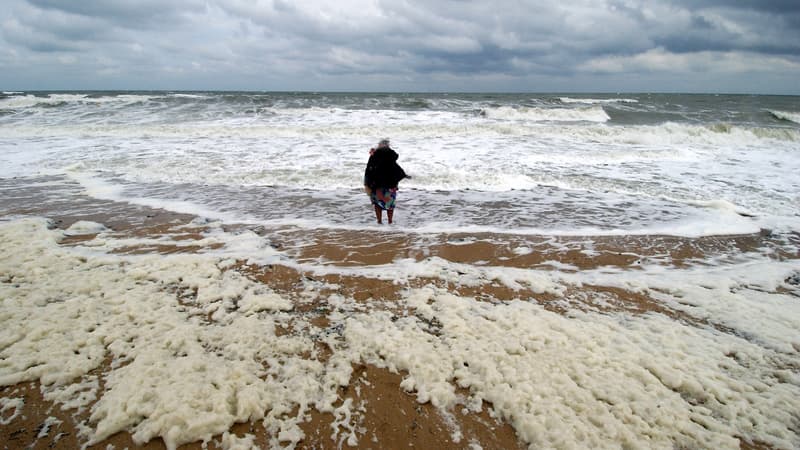 Tempête Herminia: l'écume de mer qui recouvre les plages de la façade ouest est-elle dangereuse?