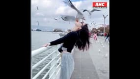 "Embrasser" une mouette pour la photo parfaite: la nouvelle tendance sur les réseaux sociaux en Chine