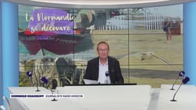 La Normandie se découvre : des lunettes en coquilles