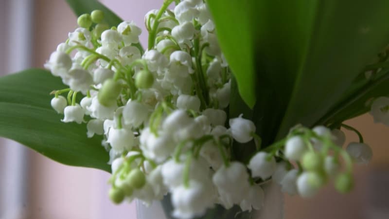 Faut-il assouplir le travail le 1er-Mai?: "On nous force déjà à venir travailler", dénonce un vendeur