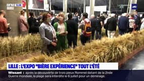 Lille: une exposition sur la bière à découvrir cet été