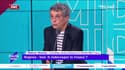 Régions : faut-il redécouper la France ? "Il faut plus de régions et supprimer ce mille-feuille administratif d’entités" pense Thierry Moreau. 