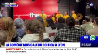 Une partie de la troupe du "Roi Lion" en concert à Lyon