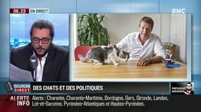 Quand "Minouche", la chatte de Yannick Jadot fait beaucoup rire l'équipe de Bourdin Direct