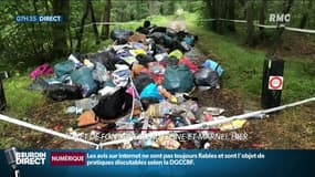 "Un dégoût profond. Il n'y a pas de mots pour décrire ça", l'équivalent de 400 baignoires de déchets ménagers a été retrouvé dans la forêt de Fontainebleau 
