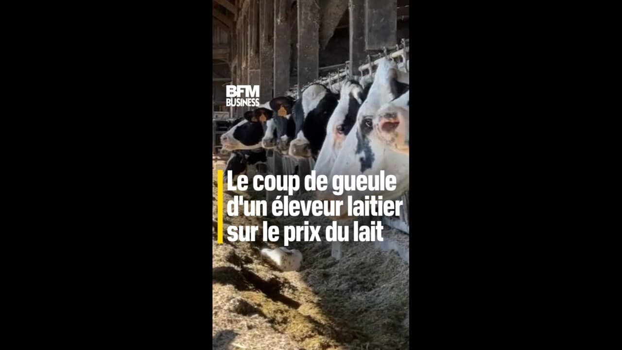 "C'est inacceptable !" : le coup de gueule d'un éleveur laitier sur le ...