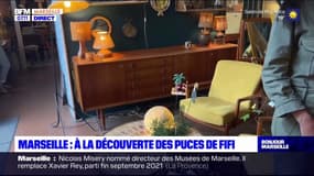 Marseille: à la découverte des puces de Fifi