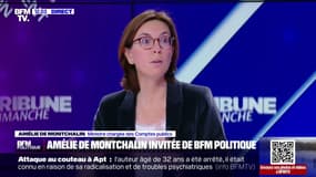 Censure: "Nous avons perdu 6 milliards d'euros" le 1er janvier, assure Amélie de Montchalin (ministre chargée des Comptes publics)